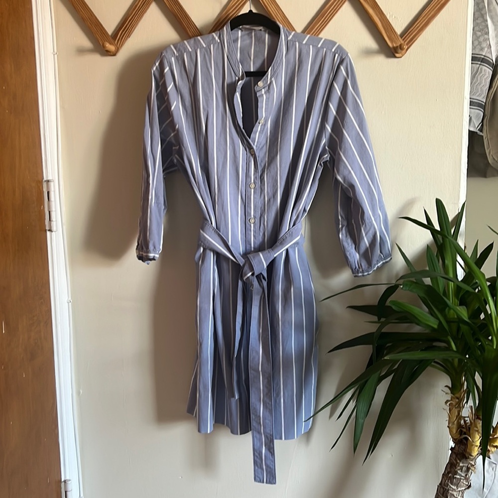 Everlane button down dress